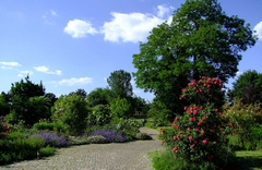 diegartenmacher_garten_01